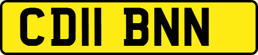 CD11BNN