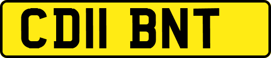 CD11BNT