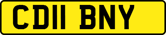 CD11BNY