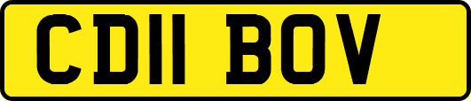 CD11BOV