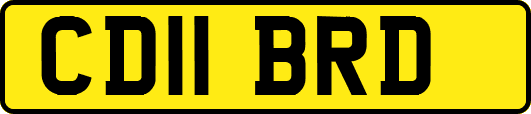 CD11BRD