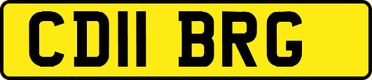 CD11BRG