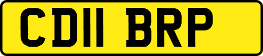 CD11BRP