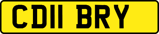 CD11BRY