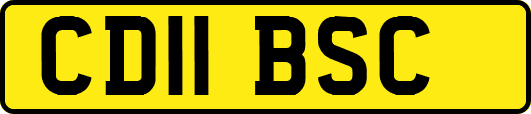 CD11BSC