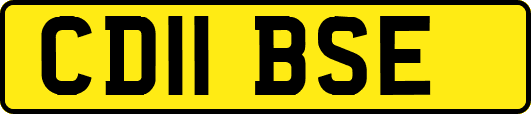 CD11BSE