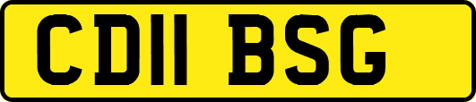 CD11BSG
