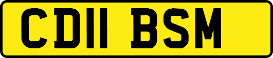 CD11BSM