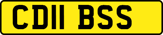 CD11BSS