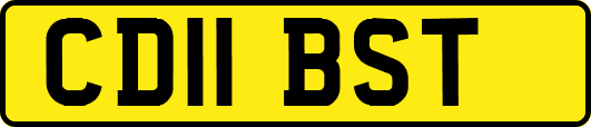 CD11BST