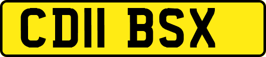CD11BSX