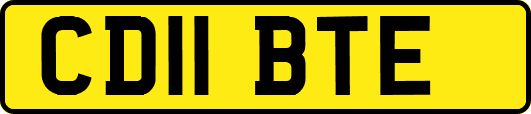CD11BTE