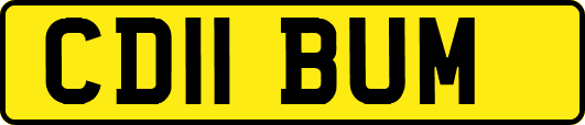 CD11BUM