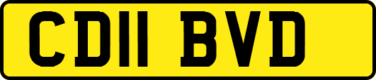 CD11BVD