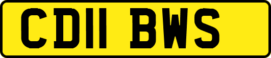 CD11BWS
