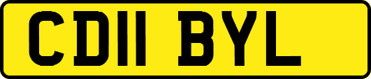 CD11BYL