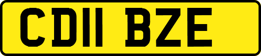CD11BZE