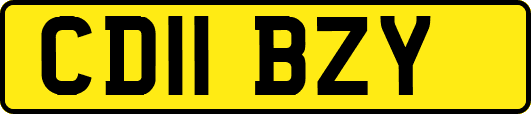 CD11BZY