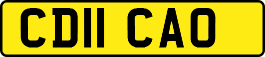 CD11CAO