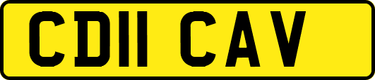 CD11CAV