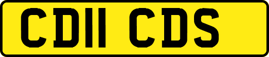 CD11CDS
