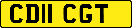 CD11CGT