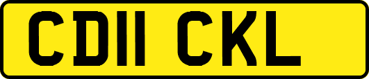 CD11CKL