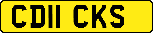 CD11CKS