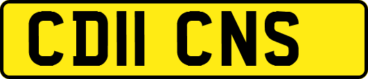 CD11CNS