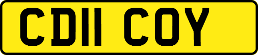 CD11COY