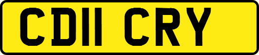 CD11CRY
