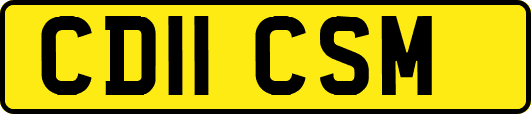 CD11CSM