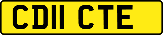 CD11CTE