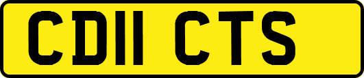 CD11CTS