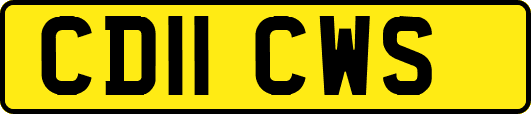 CD11CWS