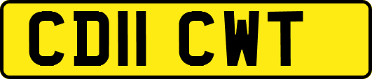 CD11CWT