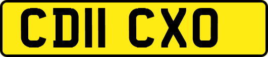 CD11CXO