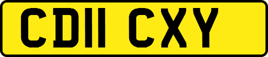 CD11CXY