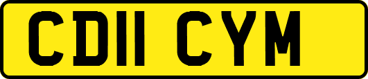 CD11CYM