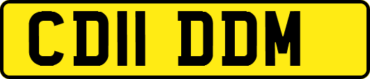 CD11DDM