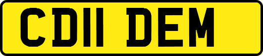 CD11DEM