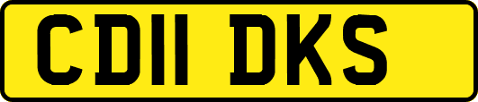 CD11DKS