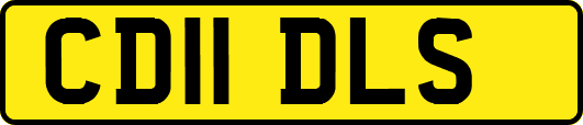 CD11DLS