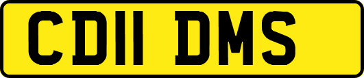 CD11DMS
