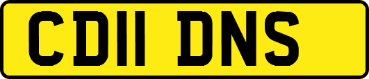 CD11DNS