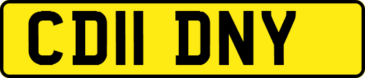 CD11DNY