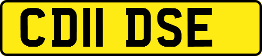 CD11DSE
