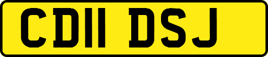 CD11DSJ