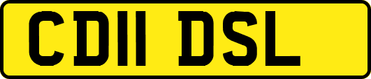 CD11DSL