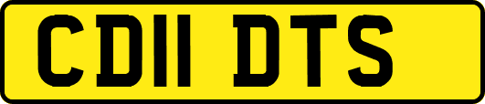 CD11DTS